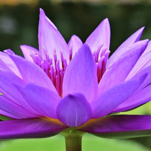 ריטריט מדיטציה במדבר 28-29/4/17 בנושא שבע הצ'אקרות